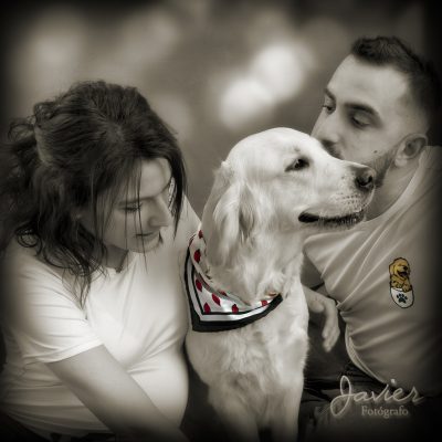 foto embarazo perro